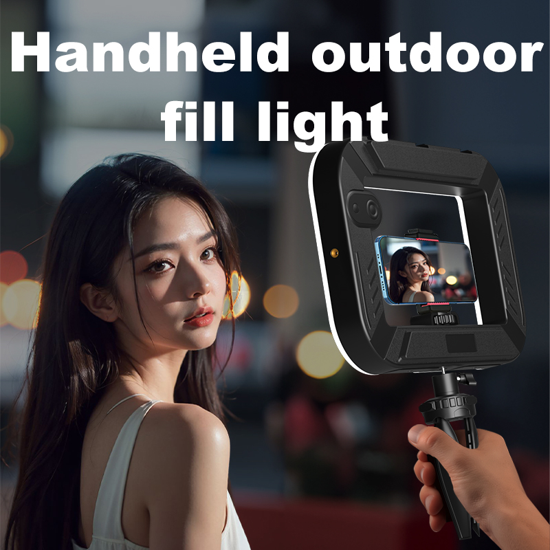 Smartphone Video Rig Handheld  - Photography Lighting Setup recension och pris