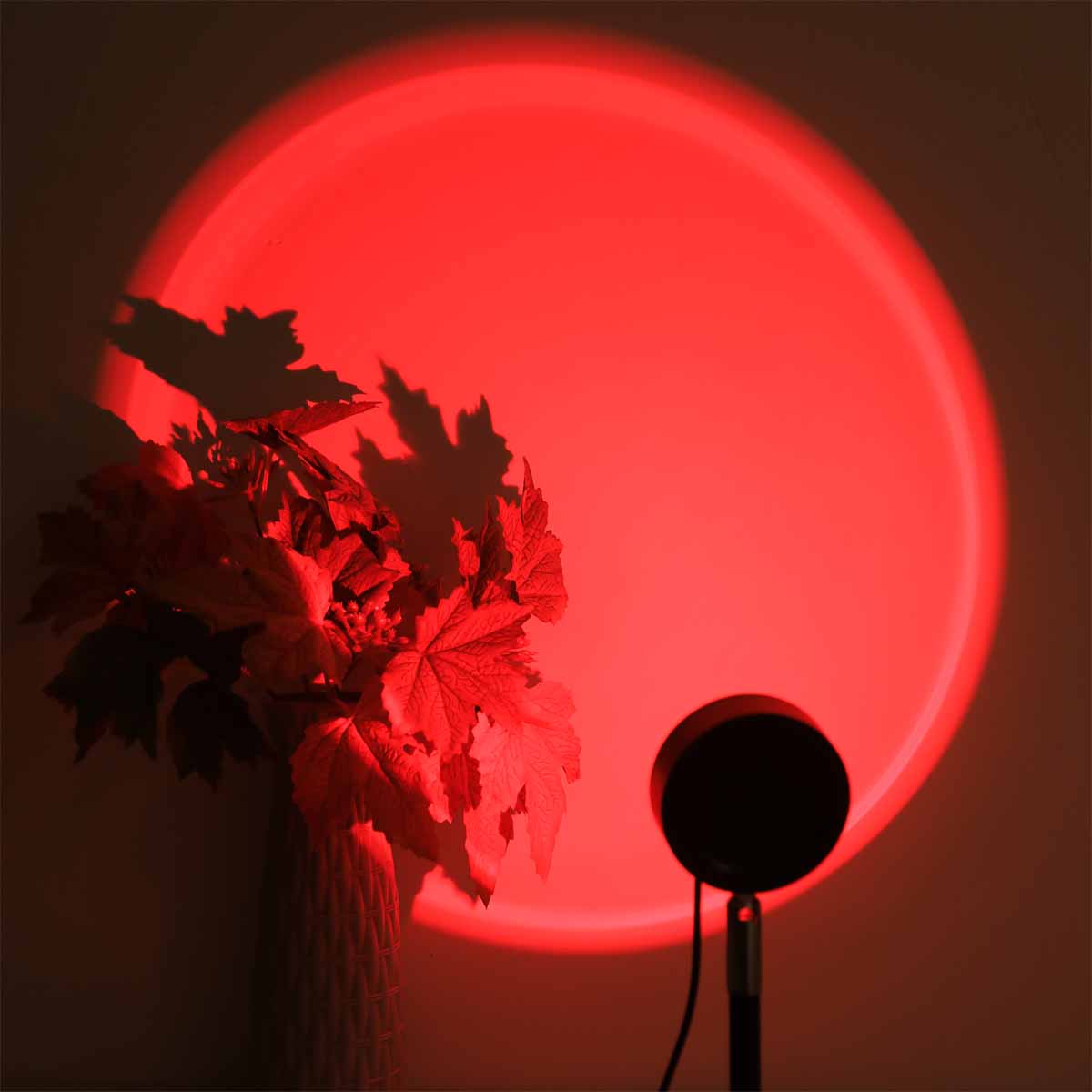 Sunset projection light remote - Photography Lighting Setup recension och pris