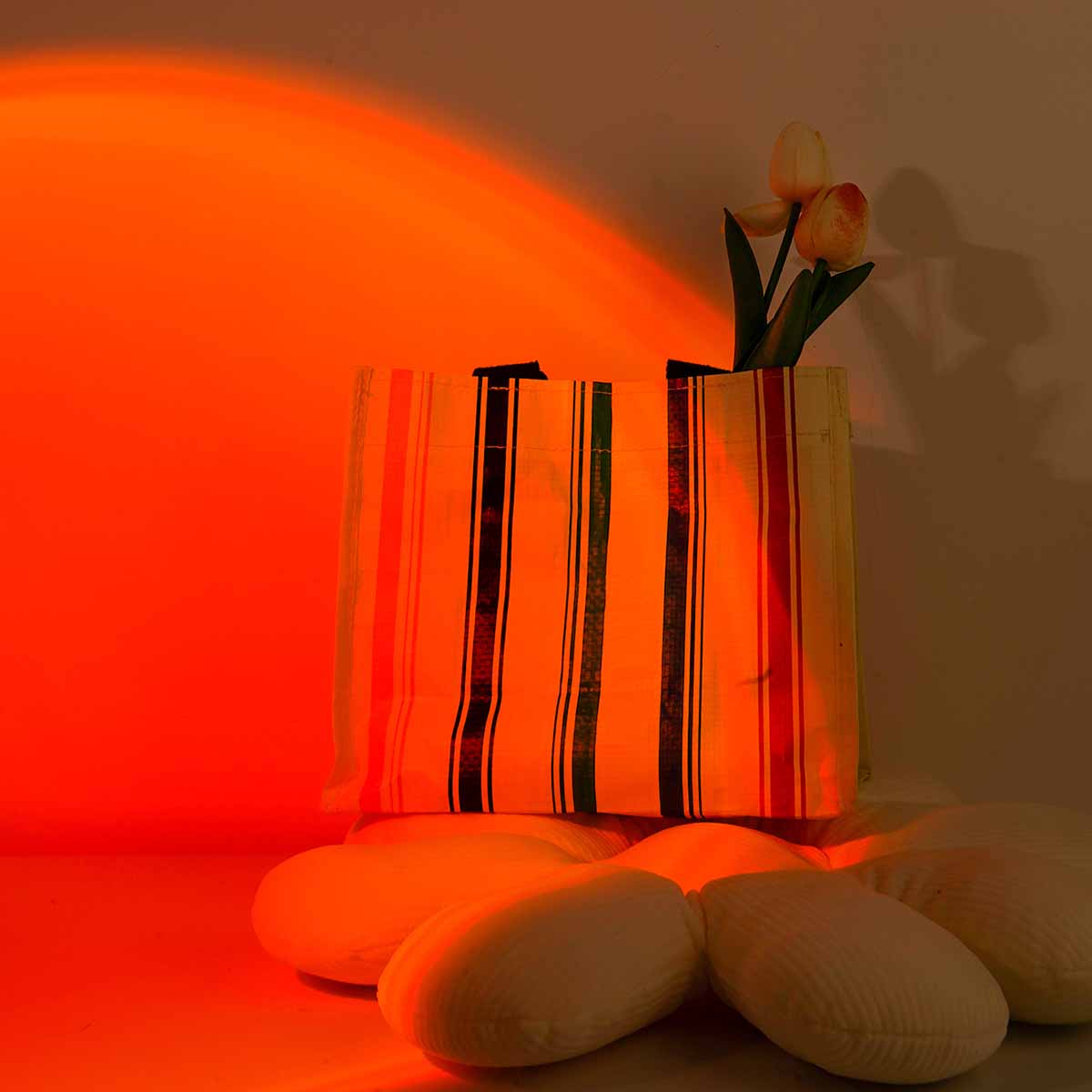 Sunset projection light remote - Photography Lighting Setup recension och pris